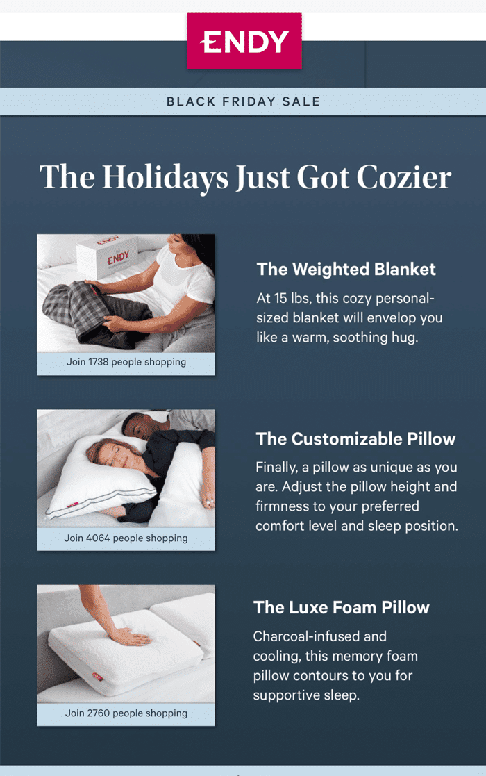 Endy Black Friday email