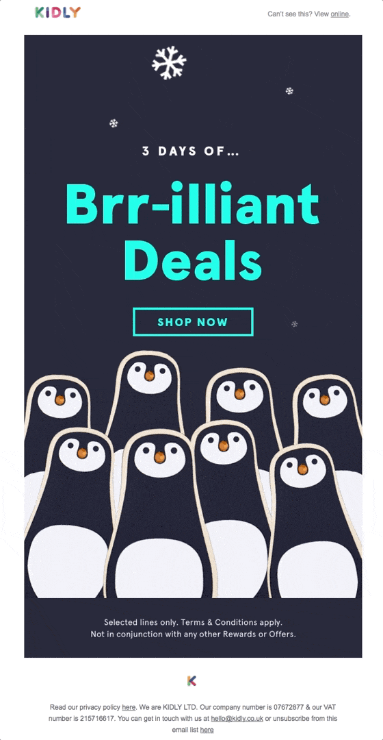 kidly email example for Black Friday