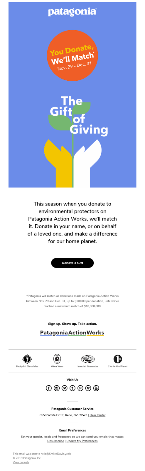 Patagonia email example